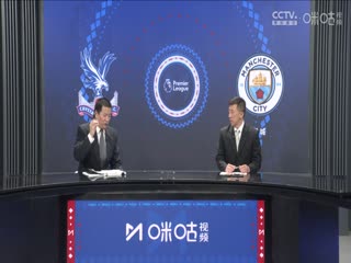 英超联赛 水晶宫VS曼城 20240406